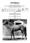 Patrola-81w