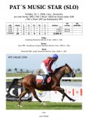 Pats_music_star-slo-06w
