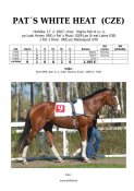 Pats_white_heat-07w