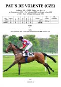 Patsdevolente-11w