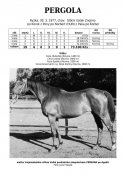 Pergola-77w