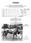 Perry-91-ap-w