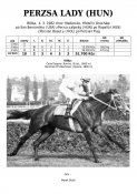 Perzsa_lady-hun-82w