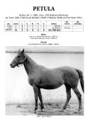 Petula-82-tx-w