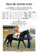 Pico-de-santo-95-ads-w