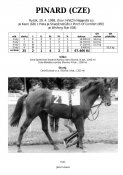 Pinard-98w