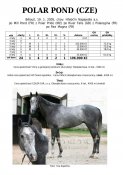 Polar-pond-05w