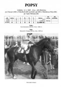 Popsy-87w