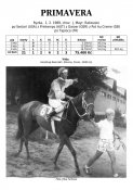 Primavera-89w