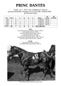 Princ-dantes-76-rd-w