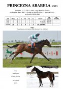 Princezna-arabela-11w