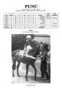 Punc-88-agytroszt-w