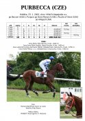 Purbecca-03w