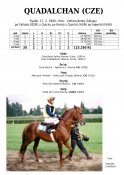 Quadalchan-94w