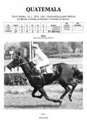 Quatemala-76w