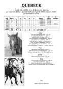 Quebeck-80-rd-w