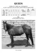 Queen-83w