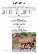Ramacca-89w