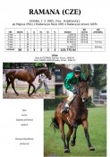 Ramana-05w