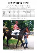 Ready_risk-03w