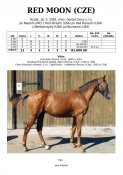Red-moon-02w