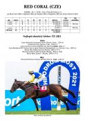 Redcoral-19w