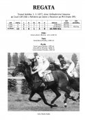 Regata-77w