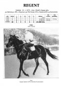 Regent-75w