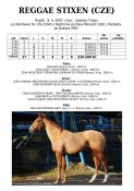 Reggae-stixen-07w