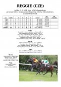 Reggie-09w