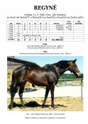 Regyne-90-ads-w