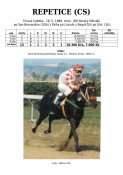 Repetice-89w