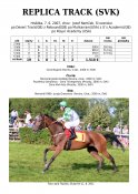 Replica-track-svk-07w