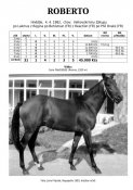 Roberto-82w