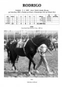 Rodrigo-87w