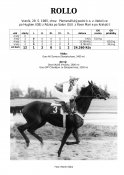 Rollo-85w