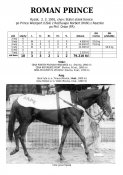 Roman-prince-91w