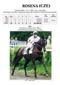 Rosena-97_rh-w