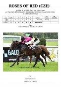 Roses_of_red-09w
