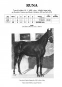 Runa-82w
