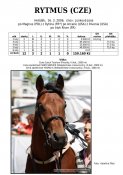 Rytmus-06w