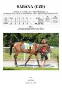 Sabana-09w