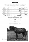 Sabor-82w