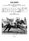 Saladin-83w