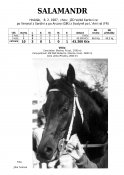 Salamandr-87w
