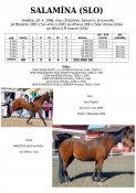 Salamina-slo-96w