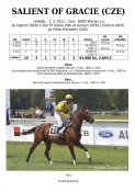 Salient_of_gracie-11w
