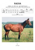 Salsa-87w