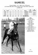 Samuel-84w