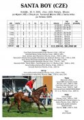 Santa-boy-01w